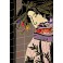 Geisha en el espejo del tiempo  (Trilogía del Japón)